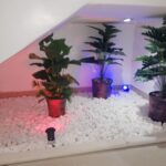 شركه تنسيق حدائق الرياض - تركيب شبكات الري - تركيب العشب بالرياض