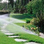 تركيب الرذاذ والضباب بالرياض