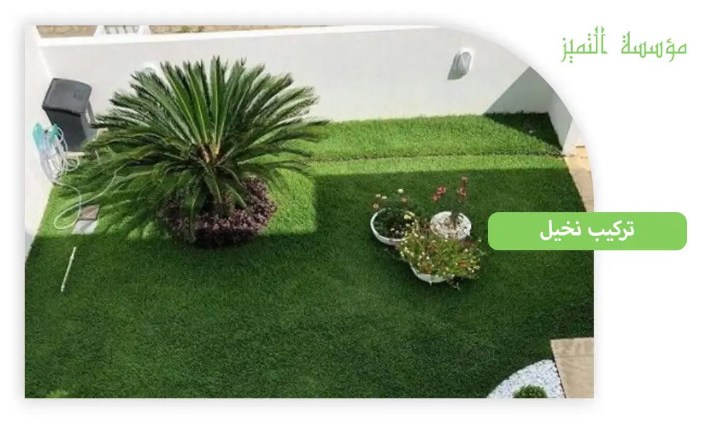 افضل شركة تكريب نخيل بالرياض