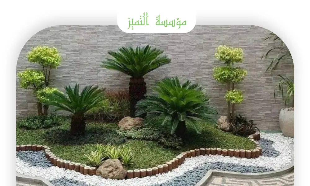 تكريب نخيل بالرياض تكريب نخيل بالرياض