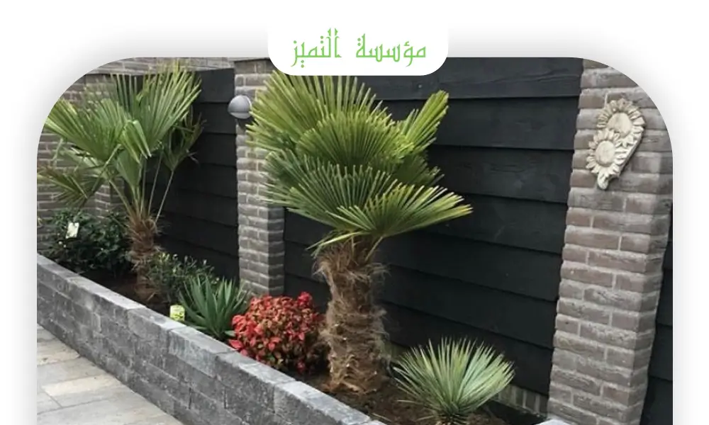 شركة تكريب نخيل بالرياض شركة تكريب نخيل بالرياض