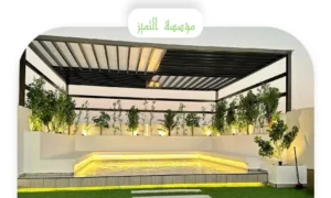 تصميم سطح البيت