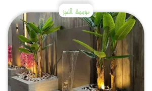 تنسيق احواش