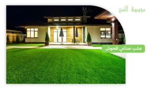 عشب صناعي للحوش