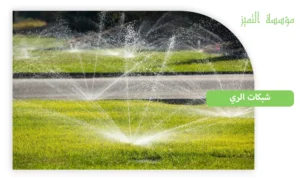 شبكات الري